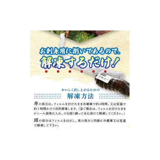 ふるさと納税 静岡県 焼津市 a50-094　伊勢海老 お造りセットB お刺身用に加工済