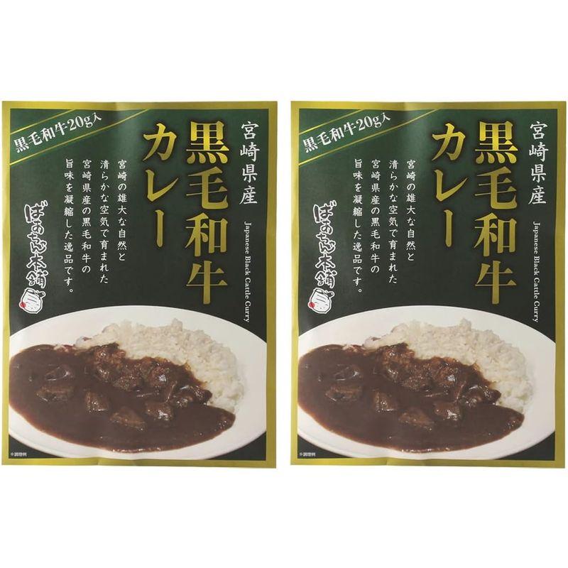 ばあちゃん本舗 宮崎県産 黒毛和牛カレー 160g×2袋