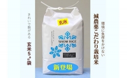 減農薬コシヒカリ「SNOW RICE」玄米5kg（令和5年産）