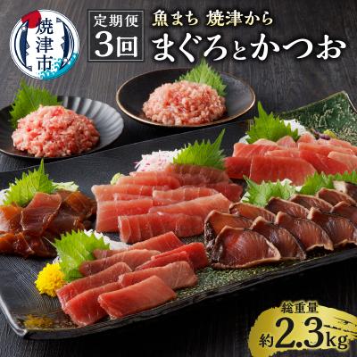 ふるさと納税 焼津市  魚まち 焼津から まぐろ・かつお お届け(a30-250)