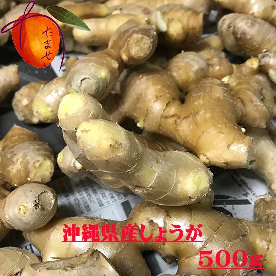 沖縄県産しょうが(生姜）500ｇ　