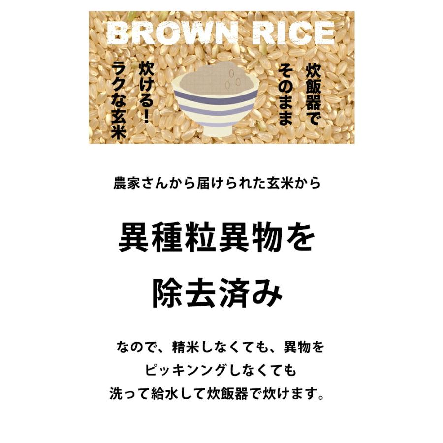 新米 米 5kg 玄米食 調整済 5年産 農家の食べているおいしい玄米5kg オリジナル 5キロ