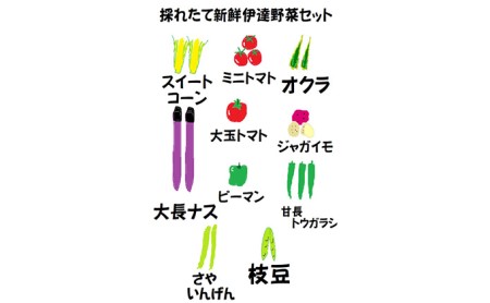 新鮮採れたて！旬の伊達野菜セット（6～8種）