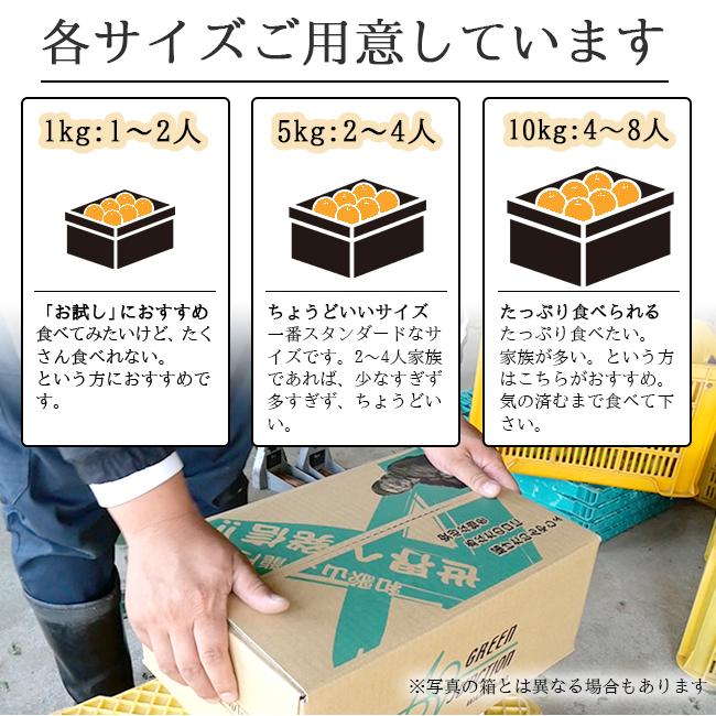 柿 太秋柿 1kg サクサク食感 無農薬 和歌山 農家直送