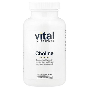 Vital Nutrients, 膽鹼，550 毫克，120 粒全素膠囊（每粒膠囊 275 毫克）