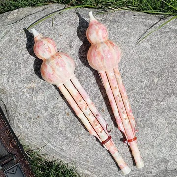 葫蘆絲 樂器 葫蘆絲樂器 防摔樹脂葫蘆絲七孔c調降b調兒童小學生初學成人入門專用民族樂器『ZW9962』