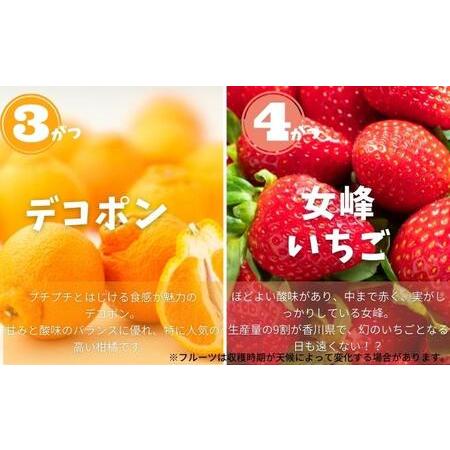 ふるさと納税 土庄町 ふるさと果実 12回定期便 香川県土庄町