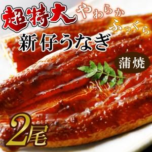 ふるさと納税 AD-95　やわらか新仔うなぎ超特大蒲焼230〜250ｇ　2尾　計460ｇ以上 茨城県行方市