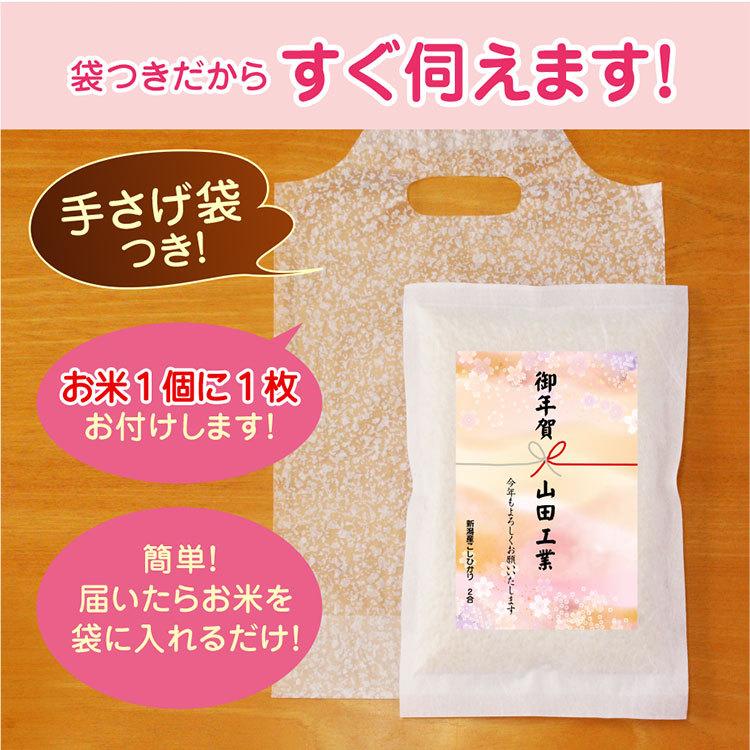 御年賀 米 新潟産コシヒカリ 2合パック（300g）真空パック