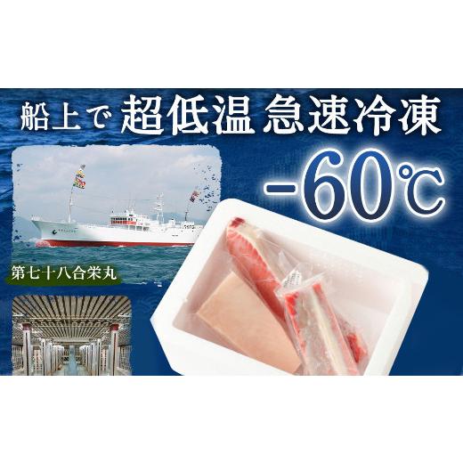 ふるさと納税 高知県 室戸市 厳選 天然 マグロ ３種 セット７５０ｇ以上 南マグロ メバチマグロ ビンチョウマグロ 冷凍 …