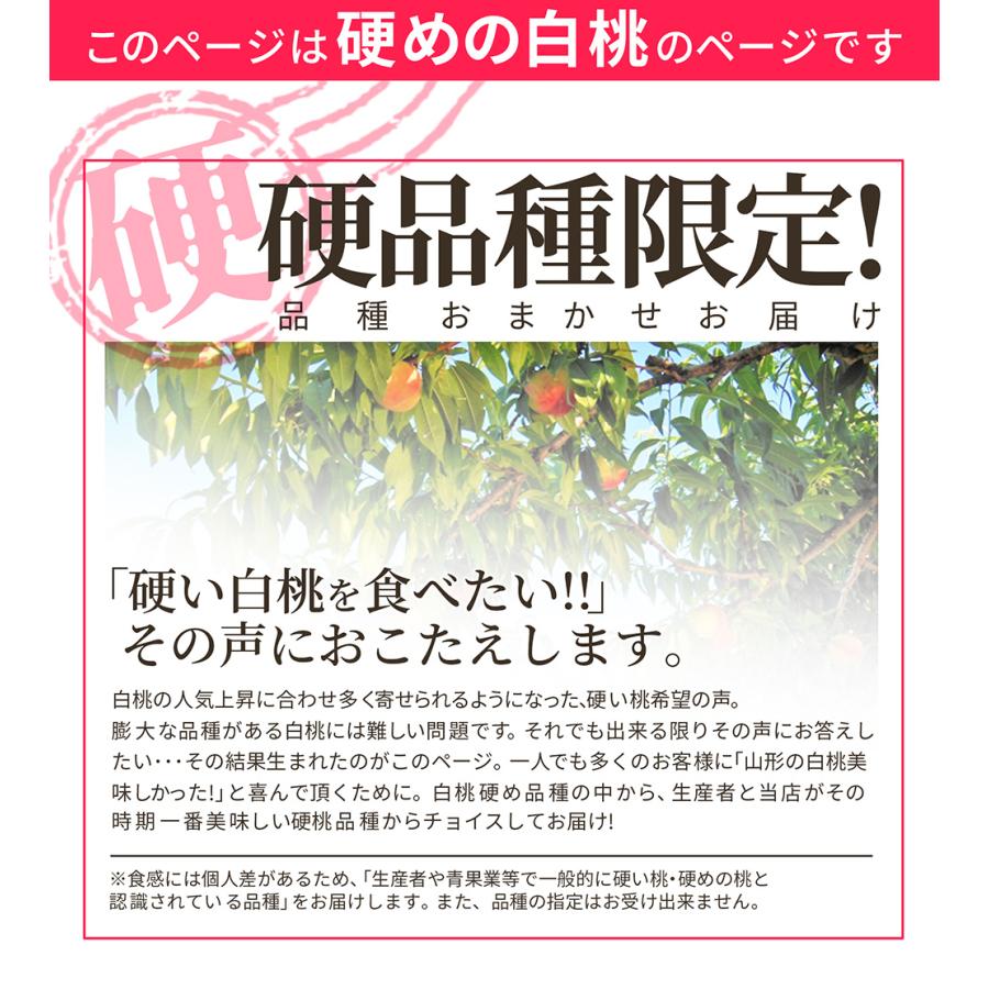  白桃 硬め 訳あり 品種おまかせ  ２ｋｇ（６〜１０玉前後）