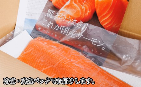 年内発送 サーモン 300g サーモン 鮭 サーモン 国産 サーモン 魚 サーモン 鮮魚 サーモン 海鮮 サーモン 産地直送 サーモン 刺身 サーモン 讃岐さーもん サーモン さけ サーモン カルパッチョ サーモン 人気 サーモン 安岐水産 サーモン 香川 サーモン さぬき市 サーモン 12月出荷 年内最終29日