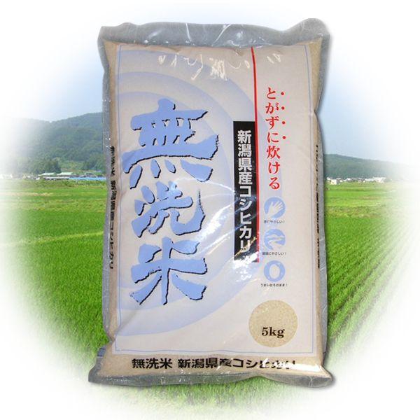 令和5年産 2023年度産 新米 コシヒカリ 5kg ふるさと名物商品 無洗米 新潟県産 代引不可 同梱不可