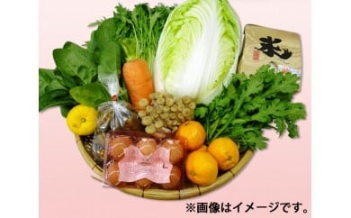 No.083 季節のお野菜詰め合わせ ／ 季節野菜 詰合せ セット 道の駅 大阪府 特産品