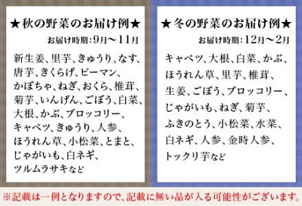 旬の農産物（野菜・果物など）詰合せ