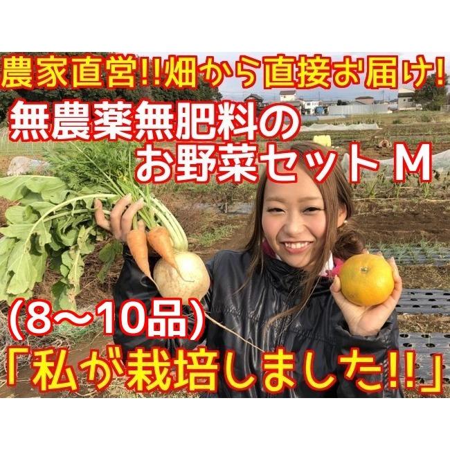 無農薬野菜セット　Ｍ(8〜10品)