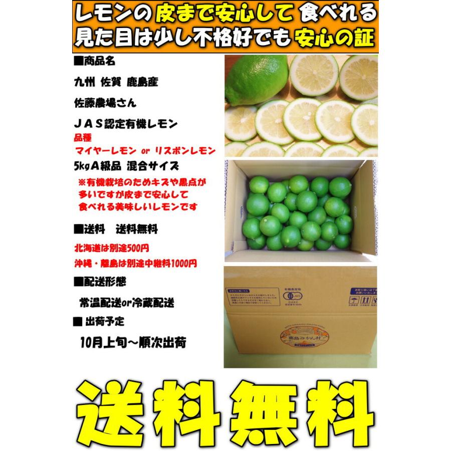 レモン 国産 5kg A品 有機 JAS認証 オーガニック ノーワックス 防腐剤不使用 皮まで食べれる 佐賀 佐藤農場 れもん