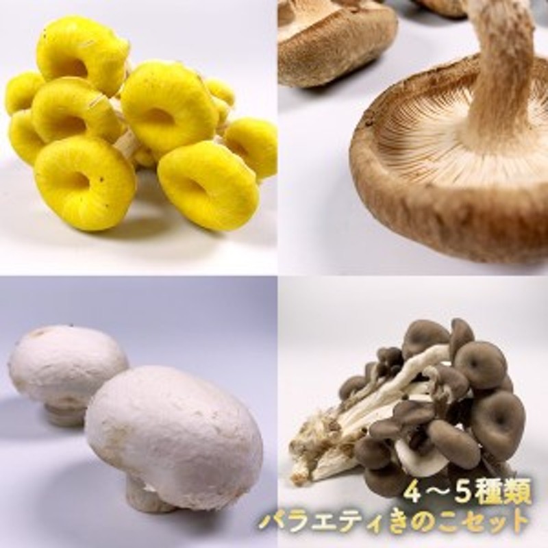 市場 えのき茸 100ｇ×2袋 九州産 エノキ