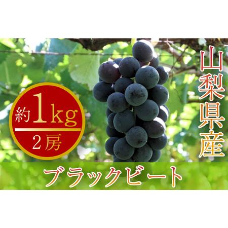 ふるさと納税 ブラックビート 2房 約1kg 山梨県産 数量限定（PJ）B-168 山梨県甲州市