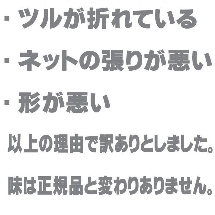 2024年ご予約販売 メロン 富良野メロン 北海道富良野産 赤肉 訳あり 1.4kg前後 １玉入り　送料無料