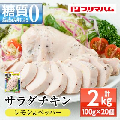 ふるさと納税 いちき串木野市 嬉しい糖質0!サラダチキン(100g×20個合計2kg!)