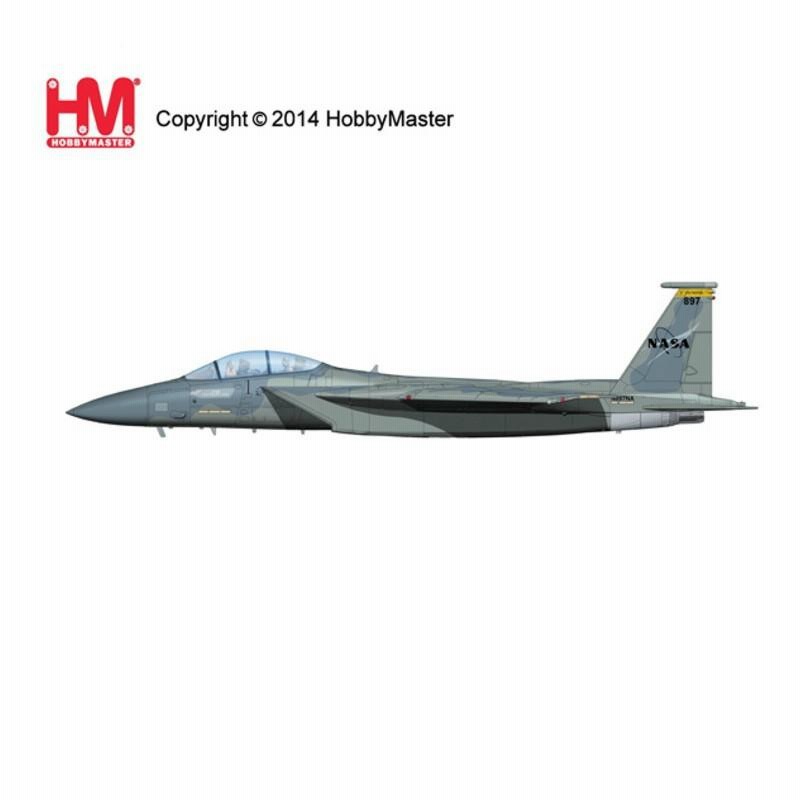 HOBBY MASTER（ホビーマスター） 1/72 F-15D 乾く イーグル