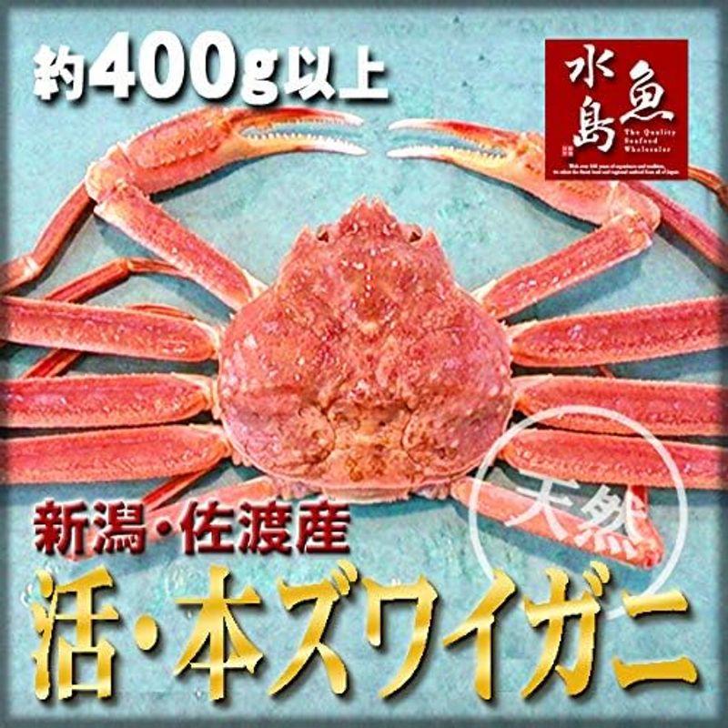 魚水島 活ズワイガニ姿 新潟・佐渡産「活 本ズワイガニ」（生 本ずわい蟹）400g以上