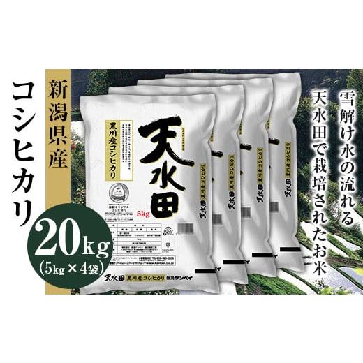 ふるさと納税 新潟県 胎内市 27-201新潟県黒川産コシヒカリ20kg（5kg×4袋）