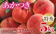 先行予約 福島県伊達市産 桃 あかつき 特秀 約5kg F20C-125