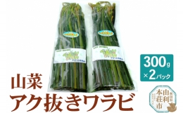 山菜 秋田県産 アク抜きワラビ 300g×2パック （発送は5月頃）