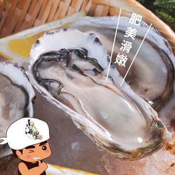 南海豐【手掌大！特大半殼生蠔】600g/包 海上先生推薦 顆顆飽滿，鮮甜多汁，吃得到新鮮大牡蠣/半殼生蠔/韓國產
