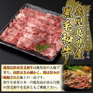 B3-004 国産！鹿児島県産黒毛和牛肩スライス(計1kg・500g×2P)