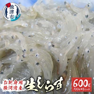 ふるさと納税 焼津市 お刺身用駿河湾産生しらす600g(100g×6パック)(a10-653)