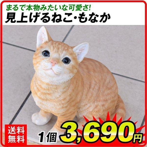 オーナメント 猫 見上げるねこ・もなか 幅18×奥行22×高さ29cm 1個 ネコ おしゃれ ガーデニング オブジェ 置物 雑貨 インテリア ポリ製  国華園 LINEショッピング