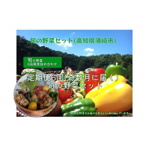 ふるさと納税 高知県 須崎市 定期便 年6回 野菜 旬 セット お楽しみ 約 8品目 やさい セット 旬 春 夏 秋 冬 採れたて 新鮮 農家 直送 詰め合わせ 国産 野菜…