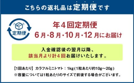 カラフルミニトマト 約1kg トマト 高森町産