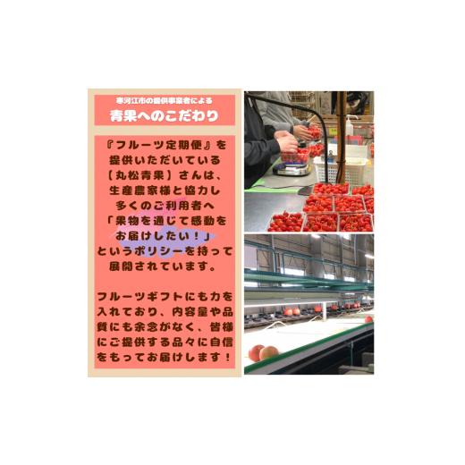 ふるさと納税 山形県 寒河江市  令和6年産 初夏からはじまる5種「フルーツ 定期便〜椛（もみじ）〜」 【2024年8月上旬頃か…