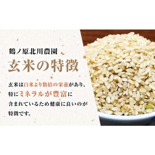 ふるさと納税 佐賀県 武雄市 栽培期間中農薬不使用 令和5年産 新米 山田錦 玄米 5kg 武雄市／鶴ノ原北川農園 [UDL005]