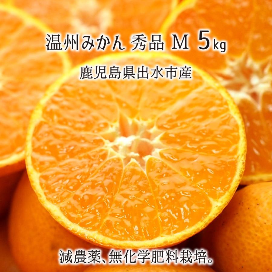 温州みかん 秀品 中玉 M 5kg 鹿児島県出水市産 減農薬 無化学肥料 特別栽培 ミカン 10月下旬〜12月中旬 送料無料