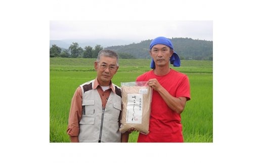 3回 定期便 希少品種米 ササシグレ 玄米 10kg×3回 総計30kg   長沼 太一   宮城県 加美町