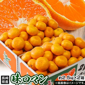  極甘みかん 『味ロマン』 JA長崎せいひ 約2.5kg×2箱 外皮に傷あり (11月出荷：2S～M、12月出荷：S～L) ※常温　送料無