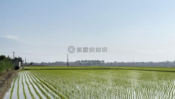 萬丹稻香2分美地|地形平坦好整理↘️下殺↘️｜屏東縣萬丹鄉甘棠門段一小段
