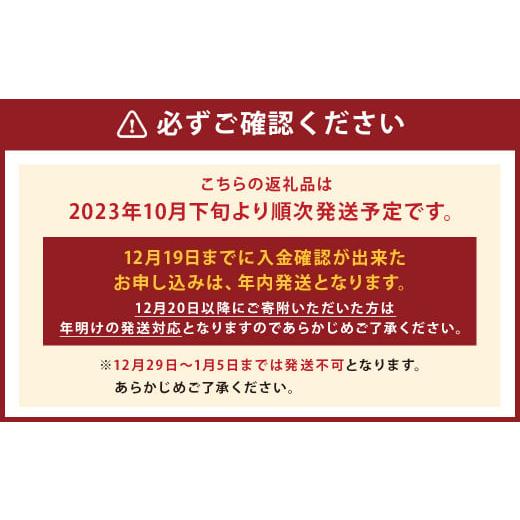 ふるさと納税 熊本県 益城町 益城町産 レッドキウイ 約1kg（7〜12玉）