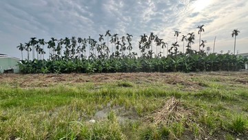 里港近市場全聯附近休閒小都農低總價｜屏東縣里港鄉大港洋段