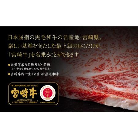 ふるさと納税 宮崎 県産 宮崎牛 サーロイン ステーキ 400g 200g×2枚 冷凍 送料無料 国産 牛 肉 霜降り ステーキ BBQ バーベキュー 焼肉 牛.. 宮崎県美郷町