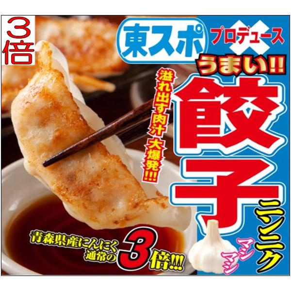 TVで紹介 東スポ餃子 3パック 3.3kg 150個 青森県産 ニンニクマシマシ 餃子 宇都宮の餃子 送料無料