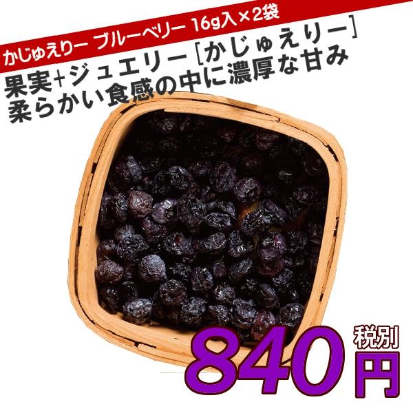 かじゅえりー ドライフルーツ ブルーベリー 16g入り 2袋セット (同梱不可)