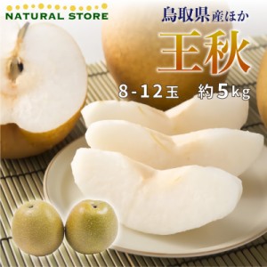 [予約 2023年11月1日-11月30日の納品] おうしゅう 約5kg 約8玉-約12玉 鳥取産ほか 初冬 糖度約12度 和梨 冬ギフト お歳暮 御歳暮