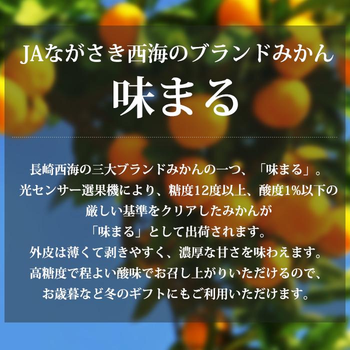 みかん 長崎県産 味まる 優品アップ 約5kg SSサイズ 約80個 小玉 小粒