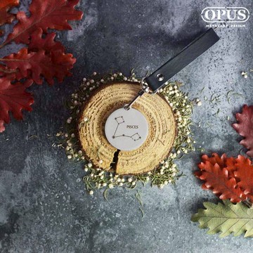 【OPUS東齊金工】不鏽鋼鑰匙圈吊飾《當貓咪變身雙魚座》金屬圓牌皮飾扣環 時尚配件 12星座匙扣 KE-st03